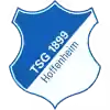 霍芬海姆U19